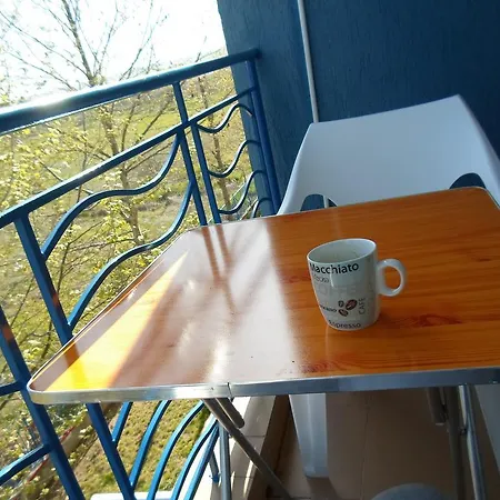 Sunny Day 3 Rent *